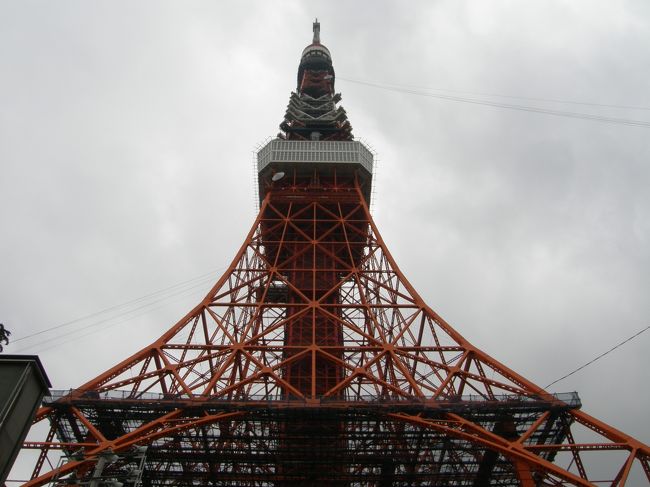 東京に来てからは初めての東京タワー。<br /><br />東京に来たのは１９８７年。<br />まあその前も千葉ですけど・・・
