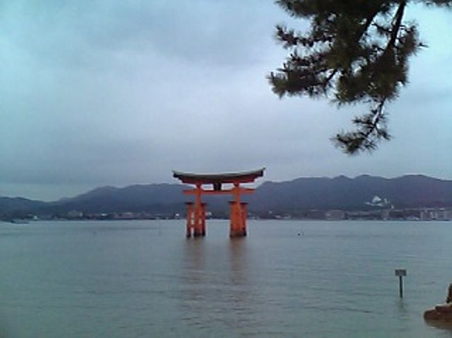 接待で宮島に行ってきました。<br /><br />広島人の私ですが，広島に行ったのは，，，<br />恐らく，，20年振りではないでしょうか。。。？？<br />だって，，最後に行ったのはまだ小さかったと思う。。<br />なんせ，，広島の端に住んでるから宮島まで遠いもん。。<br /><br />満潮時が一番綺麗らしいですが，<br />行った時は6時AM・PMが満潮でした。<br />ちょっと無理だよねえ。。。