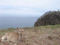 Nach Japan!　?　知床世界自然遺産　最終日