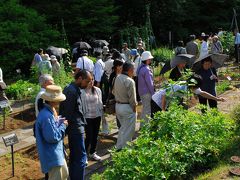 東京薬科大学　薬草園