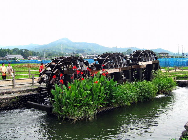 ８月に入り猛暑日に近い今日この頃涼を求めて<br />ＴＶで見た福岡は朝倉町の水車見物に出かける