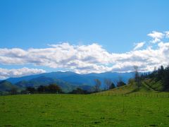 ウェリントンから約北へ90km