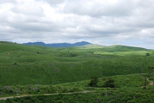 島根県での石見銀山→浜田市→津和野巡りを経て、いよいよ山口県内へ。<br />宿泊は湯田温泉の松田屋ホテル。<br />そして翌日は、秋芳洞、秋吉台ドライブの後、山口宇部空港へ。<br />楽しみました。<br /><br />今回の旅行のポイント、山口編は<br />●山口湯田温泉の歴史的な旅館「松田屋ホテル」での宿泊。<br />●秋芳洞と秋吉台めぐり。<br />●道の駅スタンプラリーで島根・山口の道の駅８か所を踏破。<br />というところです。<br /><br />島根県内でのいきさつは、<br />http://4travel.jp/traveler/teruko/album/10169702/<br />をご覧ください。<br />