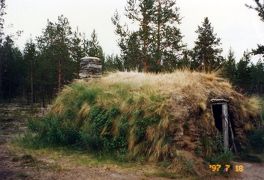 1997年夏フィンランドラップランドオーストリア旅行4-カラショク