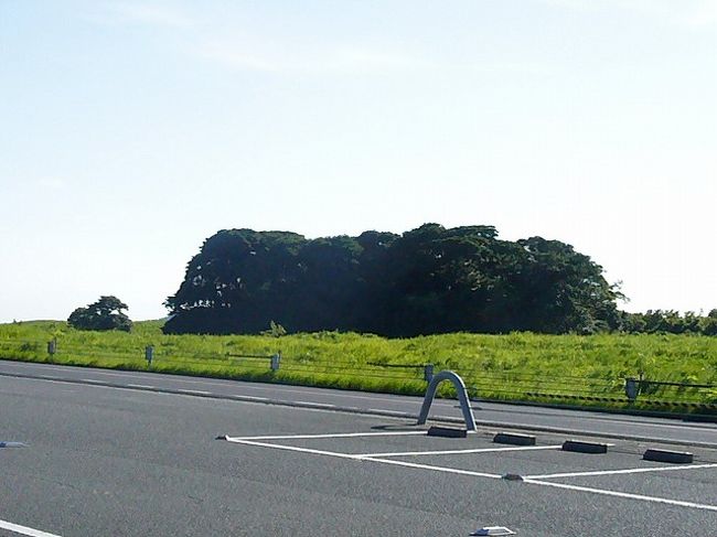 とってもお天気がいいので、家族で山口県は長門にある青海島に行ってきました♪<br /><br />念願の青海島遊覧船にも乗りました！<br /><br />その日、波もなくとても楽しい遊覧となったのです♪<br /><br />***みんなちがって、みんないい***<br /><br />素晴らしい言葉ですよね～～。<br />本当は金子みすゞ記念館にも行きたかったのですが、遊覧船に乗りご飯を食べると子どもたちはスヤスヤ夢の中･･･<br />このまま記念館にムリヤリ入館すると暴動が起きそうなので、<br />やむなく断念。<br /><br />次への課題となりました～(´д`)<br /><br />しかし！せっかくここまで来たのに！ということで帰りがてら、秋吉台を廻って帰ることにしました♪<br /><br />表紙の写真は秋吉台にある「長者が森」です。<br /><br />さて帰宅時間は何時に？？？<br />（泊まれば良かった！）<br />