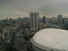 文京シビックセンターからの眺めは良いよ