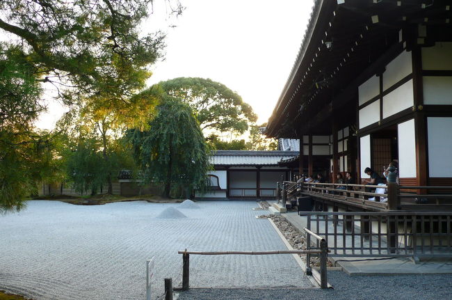 高台寺拝観後半の様子と付近の風景、帰りの八坂神社の様子です。日中は暑かった京都も、陽が沈むと少しはしのぎやすくなりました。