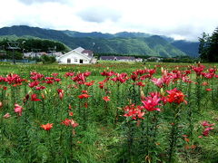 日光・那須（３日目）～ゆり園と日光白根山