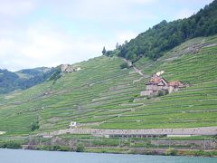 今年のヨーロッパアルプスハイキングの思い出?ラヴォー地区の葡萄畑が新しい世界遺産に認定されました！