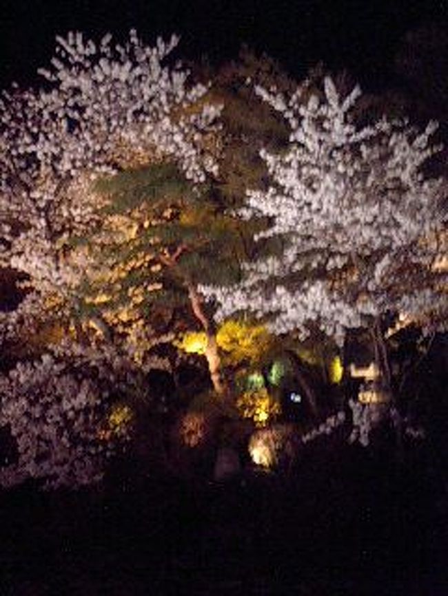 友達と初夜桜見に清水寺へ☆<br />意外に寒かったですが、桜キレーでした。