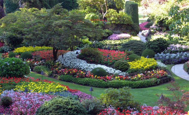旅行３日目はＢＣフェリーに乗って、バンクーバー島のThe Butchart Gardensに行きました。<br />今回の旅行は天候に恵まれ、綺麗な花と庭を堪能する事が出来ました。