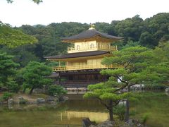 たぬきと金閣寺