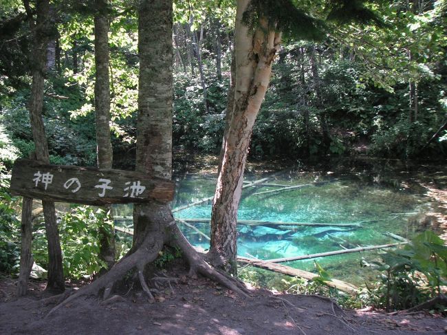 山の中に突如現れる<br />青というのか<br />緑というのか<br />不思議な色合い<br />神の子池。