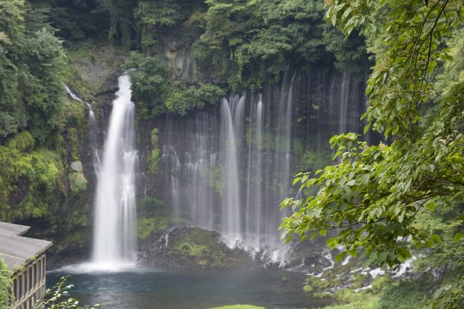 富士山と周辺の峡谷で癒しを求める旅でした。<br />滝の清涼感はすごいですね！