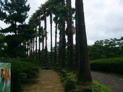 ぶらりチェジュ２人旅　1日　2日目編