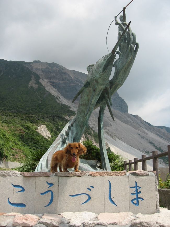 急遽、夏休みが取れ、旅行実行まで5日で全てを手配、計画し実行した家族旅行です。<br />あまりにも、島の情報が少なく、驚くことが満載の旅行でした。<br />教訓！神津島は坂だらけの島。<br />宿の海岸まで徒歩○分は下り坂であることを念頭において計画を！！