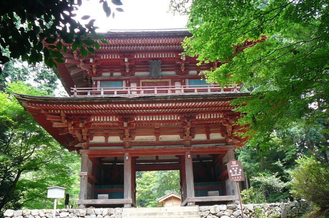 京都府・綾部市の神社・仏閣を参拝と散策してきました。<br /><br />→光明寺→八幡宮→宝蔵寺→かんばやし（昼食）→照福寺→私市円山古墳公園→安楽寺→楞巖寺→大本本部（長正殿）→若宮神社→正歴寺→宝住寺→<br /><br />光明寺・綾部<br />　真言宗醍醐派に属する古刹で、君尾山きみのうさん光明寺と称します。寺拙によると、推古天皇七年(599)聖徳太子によって建立され、のちに役小角がこの地で修行し、平安時代延喜年中に至っては聖宝理源大師が真言の道場として再興されました。