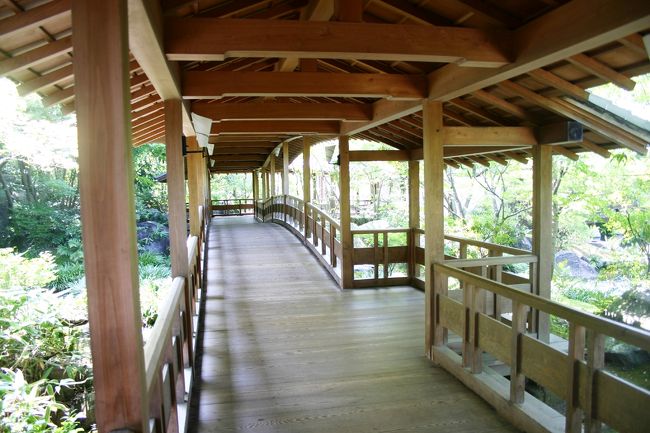 今日も青空澄み渡るいいお天気♪<br />よって、1993年に日本で始めて世界文化遺産に登録された姫路城と、<br />その姫路城を望む庭園である好古園に出かけました。<br />今まで行った事のあるお城で姫路城が私は一番大好き！！<br />立派な建造物にただただ圧倒されながら、<br />日本建築の素晴らしさを堪能することができました〜〜<br /><br />好古園　<br />拝観料：一般　300円　小人　150円<br />拝観時間：9時〜17時（入園は16時30分）<br /><br />http://www.city.himeji.hyogo.jp/koukoen/index.php