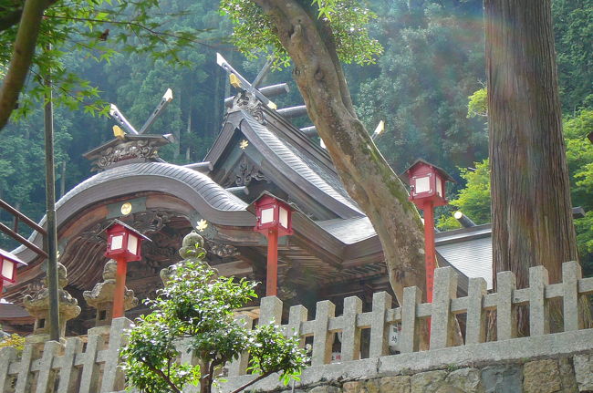 京都府・綾部市の神社・仏閣を参拝と散策してきました。<br /><br />→光明寺→八幡宮→宝蔵寺→かんばやし(昼食)→照福寺→私市円山古墳公園→安楽寺→楞巖寺→大本本部(長正殿)→若宮神社→正歴寺→宝住寺→<br /><br />若宮神社<br /> 若宮神社は、治承年間(1177〜1180年)、 平重盛が丹波の国守をしていた時、山城の国(京都府南部)石清水八幡宮の権殿に祀られている御祭神仁徳天皇の御分霊を、この地に迎えたものと伝えられています。 <br /> 寛永10年(1633年)3月、徳川3代将軍家光の時、九鬼藩の初代藩主九鬼隆季(くきたかすえ)が志摩の国(三重県)鳥羽から綾部に転封された時に、お屋敷内に祀られていた当若宮神社を厚く尊崇し、綾部藩の総氏神と定めました。また、2万石の乏しい石高の中から見取田と金穀を献上し、それを祭典や社殿の修繕費にあてました。 <br /> 以来、第2藩主の九鬼隆常(くきたかつね)を経て第11代九鬼隆備(くきたかとも)の明治廃藩に至るまで、各代の藩主の家督相続襲封毎に「任先規永代無退転可令執行也」という御朱印書をもって、祭礼料や修復料を献納しました。 <br /> もともと、若宮神社は綾部の南北を繋ぐ坂口(現在の田町)に祀られていました。慶安4年(1651年)、初代藩主隆季(たかすえ)が御屋形を南部高台の上野本宮山西麓に移すことになった時、総氏神である若宮神社を下位の坂口に祀るのは誠におそれ多い事と考え、御屋形の正面である藤山の中腹に奉遷しました。<br />