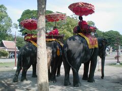 2005暮、タイ王国旅行記1(18/24)：12月19日(8)：アユタヤ、象に乗って遺跡散策、バンコクへ、ナイトバザール