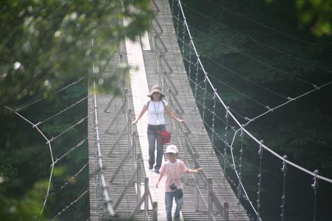 SLを撮ろうと大井川鉄道を…。<br />時間があったので上流の寸又峡の夢の吊り橋を見に行きました。<br /><br />この回は、夢の吊り橋です。<br /><br />★寸又峡ほっとステーションHP<br />http://www.sumatakyo-spa.com/<br /><br />★川根本町まちづくり観光協会のHP<br />http://www.okuooi.gr.jp/<br /><br />★大井川鉄道のHP<br />http://www.oigawa-railway.co.jp/