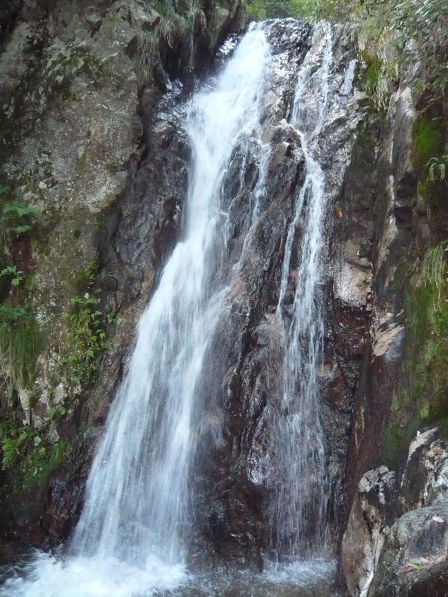 彦根城で「レゴで作った世界遺産展」を見学、ひこにゃんに会った後、時間があったので“滋賀県下一の落差76mを誇る”という比良山系最大規模の『楊梅の滝』を見に行きました。<br />雄滝・薬研滝・雌滝に分かれ、三つを合わせて「白布の滝」「布引の滝」とも呼ばれているそうです。<br />真夏の夕方、ひとときの涼をとり、マイナスイオンを浴びることができました。<br /><br />国道161号線・北小松から「比良げんき村」方向に車で５分ほど走ったところに何台か駐車できるスペースがあります。そこから雌滝までは200m位なのですが、雄滝や薬研滝を見ようと思うと山歩きをしなくてはなりません。