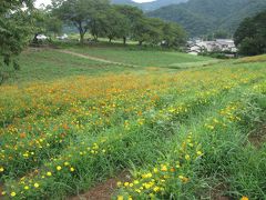 秋の長瀞七草寺めぐりハイキング　その?野土山～長瀞岩畳