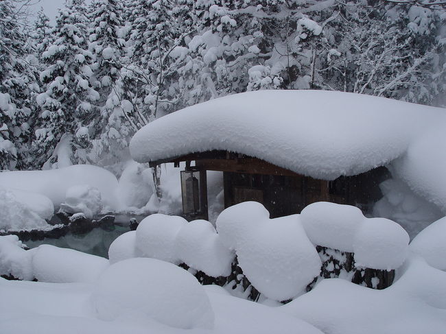 艫作からは、五能線〜秋田〜田沢湖経由で、本日のお宿「蟹場温泉」です。<br /><br />ここの露天風呂は、建物からちょっと離れているので、冬は大変です。<br />途中の道もけっこう滑りますし。また脱衣所は足元が凍ってたりしています。