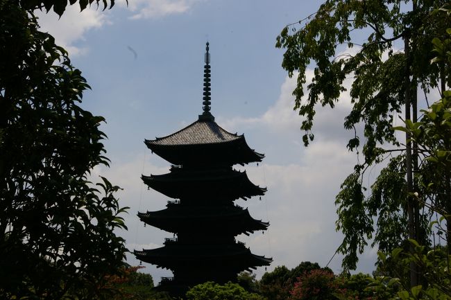 京都３日目の今日、次なる目的地大阪に向かいます。残された滞在時間はお昼まで。朝の散歩を終え、荷物をまとめてホテルをチェックアウトし、まずは京都駅へと向かいます。駅で荷物を預けて駅の周辺を散策します。東本願寺、西本願寺、島原、東寺、京都博物館、三十三間堂残りの時間でこれをすべて回れるか。とりあえず京都最後の散策をスタートです。