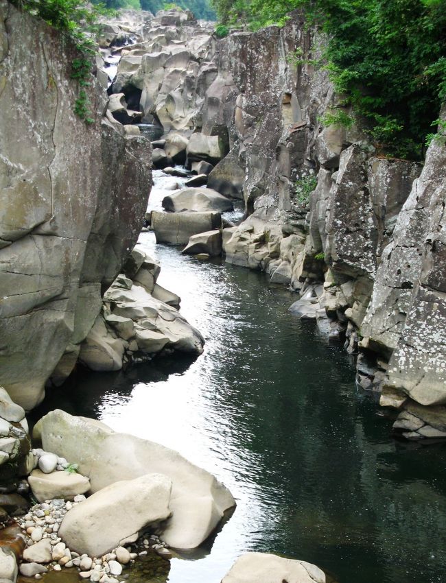 厳美渓（げんびけい）は、岩手県一関市にある磐井川中流の渓谷。栗駒山を水源とする。全長2?。1927年に国の名勝及び天然記念物に指定された。平泉からも近く、年間約90万人が訪れる観光地となっている。