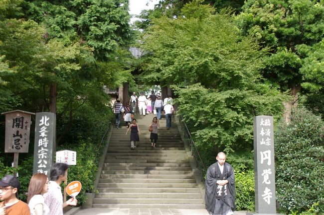 台風一過、蒸し暑さの中、北鎌倉の円覚寺から東慶寺、浄智寺と回り、亀ヶ谷坂切通しを抜けて鎌倉まで散歩しました。<br />台風９号の影響は、さほどなかったようですが、庭師の方々が、折れた木の枝などの掃除をされていました。