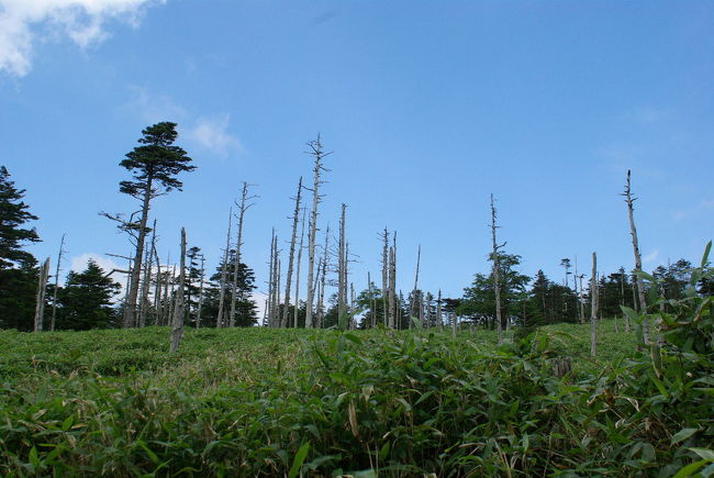 いよいよ最終日、今日もいい天気です。<br />何処へ寄って帰ろうか迷った末、とりあえず八島湿原に向かいましたが、あまりの暑さと人の多さにめげてすぐさまピラタス蓼科ロープーウェイへと向かいました。<br /><br />ピラタス蓼科ロープーウェイ夏のページ<br />http://www.pilatus.jp/green/top.html<br /><br /><br />