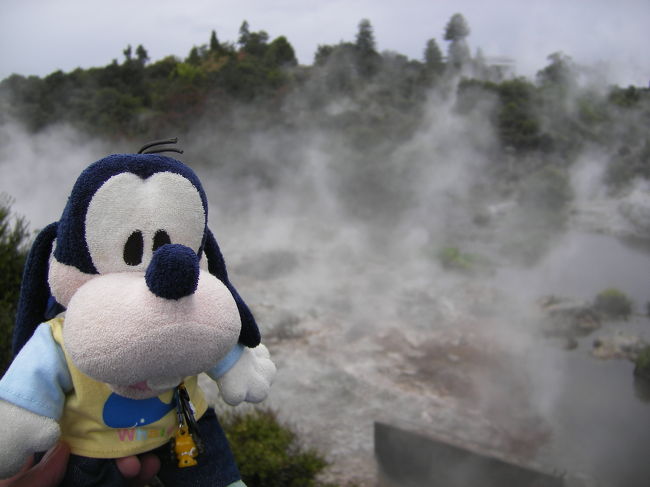 グーちゃんだよ。<br />今日はロトルアだと張り切って<br />起きたのに思い切り雨なの・・・。