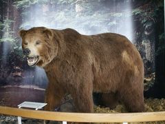 アラスカクルーズ?　ジュノー観光