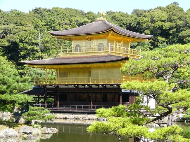 京都市北区<br />臨済宗相国寺派の別格本山で正しくは北山鹿苑寺と号し金閣寺は俗称で応永4年(1397年)、足利3代将軍・義満が、西園寺公経の山荘を譲り受け壮麗な北山殿を造営しました。応永15年(1408年)、義満の没後、子・義持が遺言により禅宗寺院に改め、義満の法号(鹿苑院殿)に因んで鹿苑寺と号し方丈、仏殿（舎利殿）が新たに建立されました。足利歴代将軍の参詣する所となったが応仁の乱に罹災し金閣のみを残して他は焼失し足利氏の衰退と共に寺運も衰えました。後に豊臣秀吉、徳川家康の帰依を受け西笑承兌(さいしょうじょうたい)、鳳林承章(ほうりんしょうしょ)、文雅慶彦が相次いで住持となり庭園の整備、金閣寺の補修にあたり現在の鹿苑寺は江戸中期頃に完成したと伝えます。　拝観時間は９時-17時　年中無休　1994年にユネスコの世界遺産に登録された。<br />入場料４００円　お札の入場券が、中国人にも人気.<br />