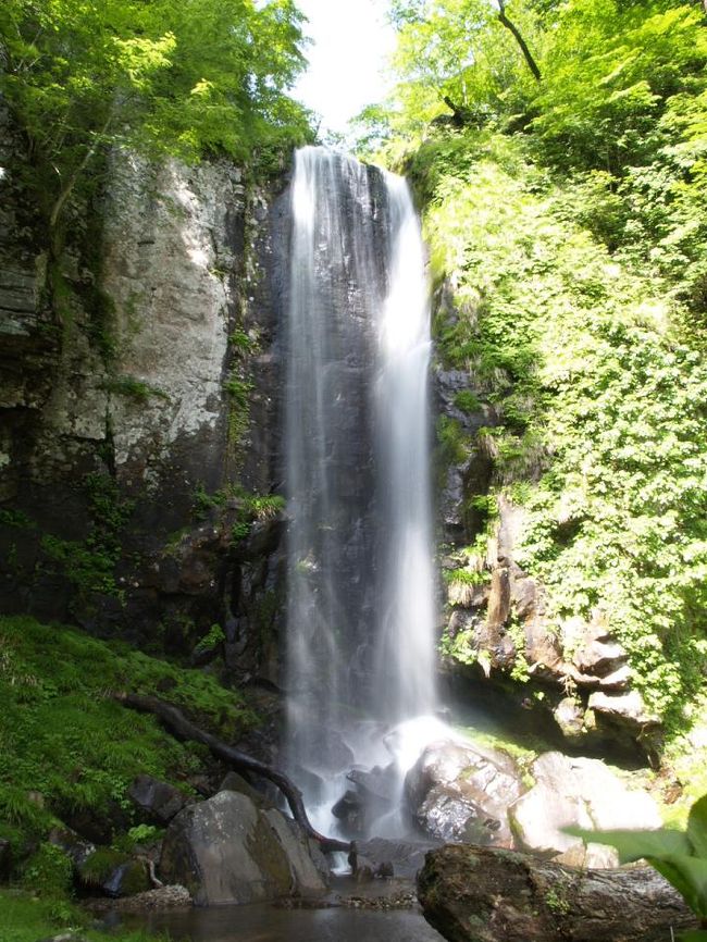 ふるさと兵庫５０山のひとつである藤無山に登った後、思った以上に早く下山できたので、以前より狙っていた氷ノ山周辺の滝めぐりをしました。このあたりは滝の宝庫で、１００選の天滝や原不動滝もあるエリアです。<br />氷ノ山の麓を通る林道が完成しているので、以前はほとんど幻の滝とされた逆水の滝も車でアプローチできるようになっています。ですから修行というほどでもないんですが…