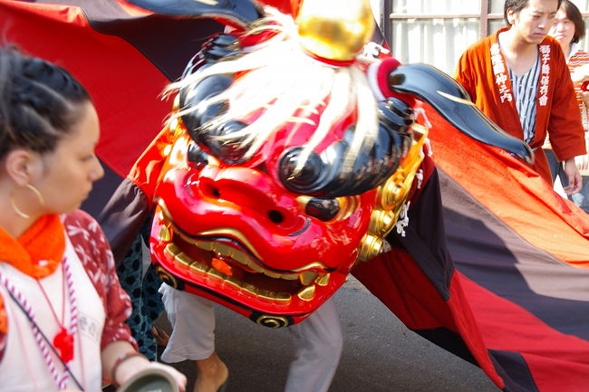 ＜＜２００５お祭りシリーズ＞＞<br />茨城県石岡の常陸国總社宮大祭は、紀元８世紀頃、武家の祀りとして「武運長久」を祈願したのが始まりと言われています。<br />その後、江戸時代元禄期に町人が参加して「家内安全」「無病息災」を祈願するようになり、現在に至っています。<br />数年前までは、毎年９月１４，１５，１６日の三日間に開催されていましたが、二百十日前後のため雨が降ることが多く別名「雨祭り」と言われていました。現在は、敬老の日とその前の土日の３日間に行われます。<br /><br />関東三大祭りの１つとも云われ、神輿のほかに、人形山車や幌獅子など４０数台が市中を巡行する、エネルギッシュなおまつりです。<br />1日目：神幸祭、御神体を神輿にて年番町の御仮殿へお迎えします。<br />２日目：大祭、境内で奉納相撲が行われ，神楽殿では浦安の舞と染谷の十二座神楽が奉納されます。<br />３日目：還幸祭、年番町の御仮殿から神輿が出御し、本殿へ戻ります。<br />今回は、２日目に行ったものです。<br /><br />