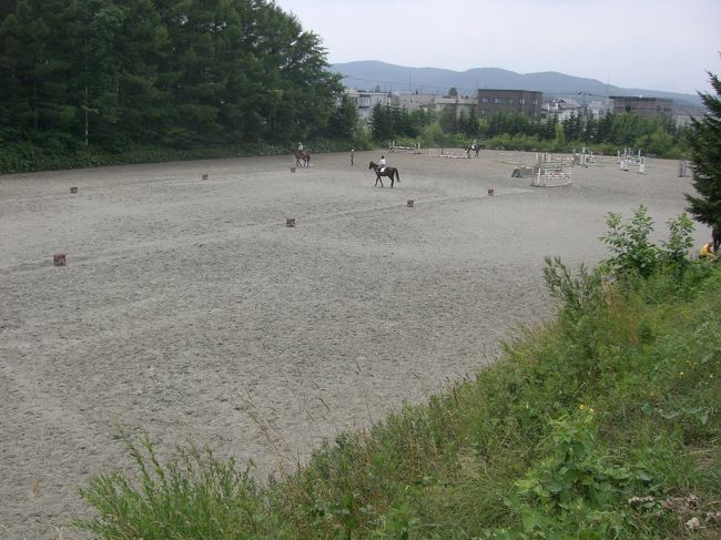 札幌ドームのそばに、こんな自然が残っていました。乗馬したい人必見。美しが丘の教会の後ろ、「モモセライディングファーム」に連れて行ってもらいました。知ってますか？ここ？