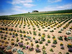 美瑛、近所ですｗ