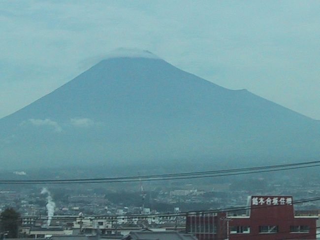 【１泊２日でどんだけぇ〜！？墓参ついでの一人旅】<br />今年の夏休み、いつものように春先から計画し予約を入れて海外へ出かけるつもりでいた。７月に入っても希望のコースの確約が取れず、少々アレンジして旅行社に依頼をし直した。その結果が知らされる直前、今年１４歳の愛犬・３代目ポピーが心臓発作を起こした。これは海外へ行くなとの天のお告げと受け止め、すぐさま国内へ目を向ける。<br />本来は８月にも１泊で出かける予定があったのだが、出発１週間前にまたもやポピーの体調が崩れキャンセル。そして３度目の正直、やっと出かけることができたのが今回の旅。しばらくご無沙汰していた母方の墓参りで東京へ行くついでに、１泊してこようというプランなのだから、これも行けなきゃご先祖様にも見放されてる？(笑)<br />どうやらご先祖様は「ウェルカム」と言って下さったらしく、ポピーの体調はやや安定している。旅の途中で母からの「帰ってきて」コールがないことを願いながら、自宅を出た。<br /><br />【メンバー】<br />一人旅。<br /><br />【ルート】<br />9/13　京都−＜東海道新幹線・ＪＲ横浜線・京王相模原線＞−（墓参）−＜京王線＞−新宿<br />　　　（以上の旅行記⇒本編）<br />　　　新宿−＜ＪＲ山手線・ＪＲ常磐線・東武特急＞−鬼怒川温泉<br />　　　（以上の旅行記⇒http://4travel.jp/traveler/poi/album/10183736）<br />9/14　鬼怒川温泉−〔観光タクシー〕日光東照宮・輪王寺<br />　　　（以上の旅行記⇒http://4travel.jp/traveler/poi/album/10184055/）<br />　　　〔観光タクシー〕いろは坂−明智平−華厳の滝−中禅寺−田母沢御用邸記念公園−<br />　　　日光−＜ＪＲ日光線・東北新幹線・東海道新幹線＞−京都<br />　　　（以上の旅行記⇒http://4travel.jp/traveler/poi/album/10184293/）<br /><br />【エピソード】<br />■スペシャル・サンクス！！<br />どうせ出かけるなら、美味しいものにありつきたいもの。今回の旅では、東京での食事やお土産に関し、トラベラーのＳＵＺＵＫＯさん（http://4travel.jp/traveler/suzuko/）に情報を頂いて、幸せ気分にどっぷりたっぷり浸れました。感謝しております。<br /><br />【表紙の写真】<br />東京へ向かう東海道新幹線・のぞみから見た富士山。電車で行くときは、いつも窓にかじりついて見るのを楽しみにしている。頂上付近に雲がかかっている程度で、曇天ながらこれだけくっきりと姿が見えれば幸せ♪