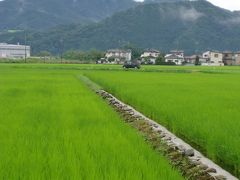 　田園の風景　その後　２