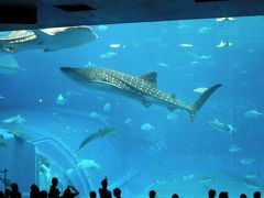 2007年9月　初めての沖縄を満喫する旅　～　1日目は水族館メインで！