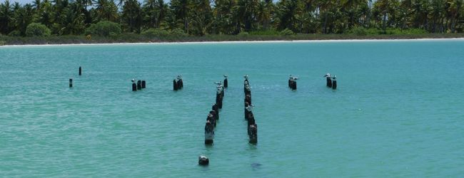 クリスマス島 旅行 クチコミガイド フォートラベル キリバス Christmas Island