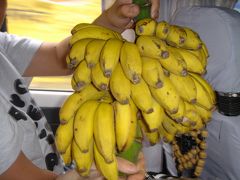 ネパール道中記?　カトマンズ?