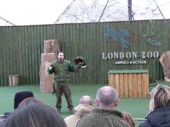 イギリス - ロンドン動物園(London Zoo)  ～冬のロンドン動物園は寂すぃ・・・～