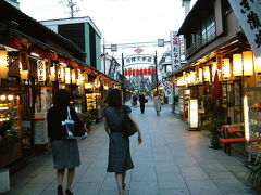 「矢切の渡し」「葛飾柴又帝釈天」東京都葛飾区柴又