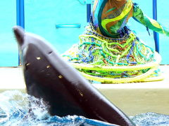 ５．新江ノ島水族館　前編　イルカの言葉が分かるアクアンによるショー