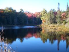 秋のアルゴンキン州立公園　-３日目-　（その２）
