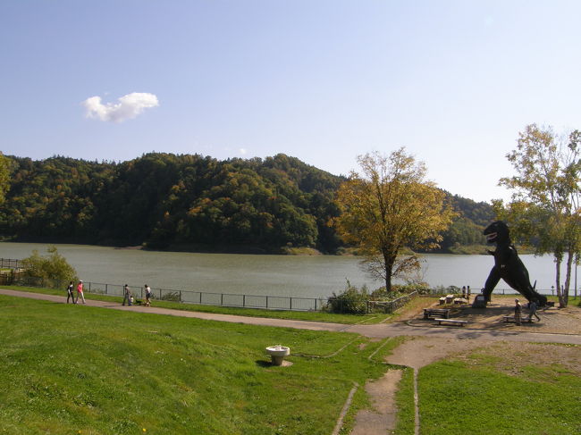 紅葉と秋の味覚を求めてドライブ。<br />夫、母、姑さんを乗せて走るは、<br />９月に我が家にやってきたTIIDA君。<br />ドライバーは<br />低血圧で朝はからっきしダメな私。<br />でも、今日は珍しくいい天気。絶好の行楽日和。<br />すっきり目覚めて、１０時３０分には高速にのる。<br />三笠で下りてひた走る。途中ネズミ捕りを発見。ゆっくり走ろう北海道。無事クリアー。目的地には１１時４０分ほどで到着。<br /><br />桂沢湖は以前紅葉が終わって、枯れていてガッカリした場所。<br />今日はリベンジ。ところが・・・。<br />今度は早かった！！<br /><br />桂沢湖から１９７６年に発掘されたエゾミカサリュウの化石。<br />アンモナイトの化石も多く発掘された。<br />日本で初めて見つかった肉食恐竜と崇め奉られ、<br />博物館まで建、天然記念物にも指定され、<br />三笠市は恐竜一色に染まっていた。（ちょっと大げさ。）<br /><br />ところが１９９０年、エゾミカサリュウは海棲の爬虫類であるとの研究報告により、表舞台から姿を消した。<br />（恐竜はあくまでも陸棲なのだそうで。）町おこしの目玉を失った市、商業者の落胆はおおきかったらしい。<br />いまでも恐竜のたまごというネーミングのスイカがある。<br /><br />桂沢湖は桂沢、芦別、キムンの３つのダムによって<br />できた堰き止め湖。<br /><br />今回は桂沢ダムに下りてみた。あまり大きなダムではないが、<br />なかなかいいダム？？です。<br /><br />そこから道道を走ること５０分ほど。りんごを求めて<br />岩見沢毛陽地区を目指す。