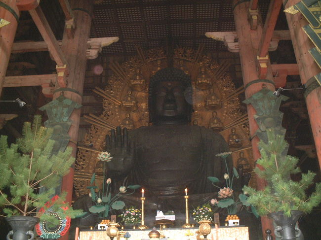 京都府某所在住の従姉を訪ねて行ったところ、「ここから東大寺はすぐ」という話になり、連れて行ってもらいました。<br />東大寺〜春日大社、石上神宮、法隆寺。<br />奈良は本当に歴史を感じます。